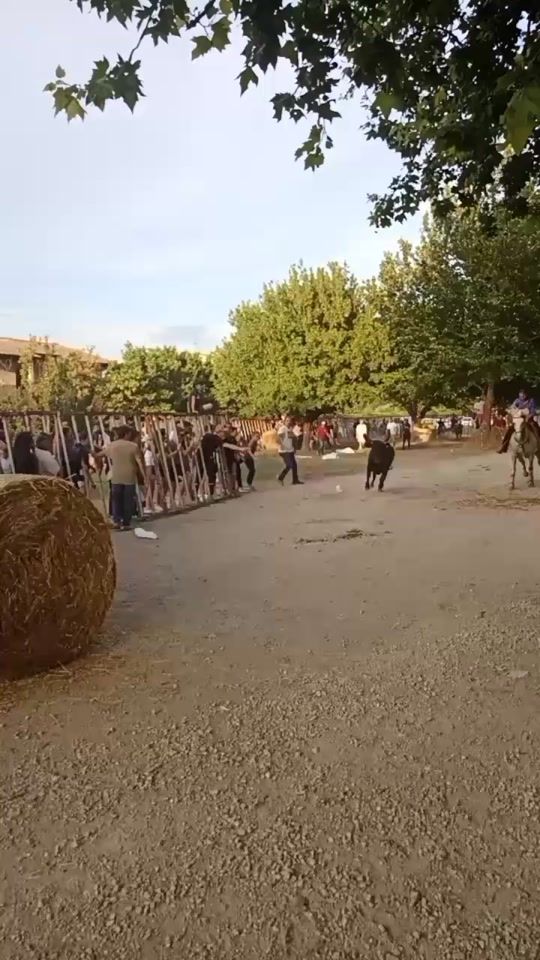 TikTok video thumbnail by taureau.30