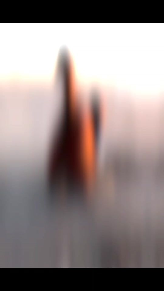 TikTok video thumbnail by edits_horse49