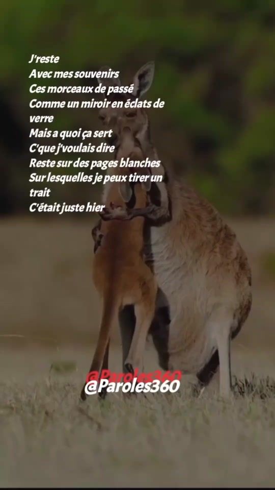TikTok video thumbnail by paroles360