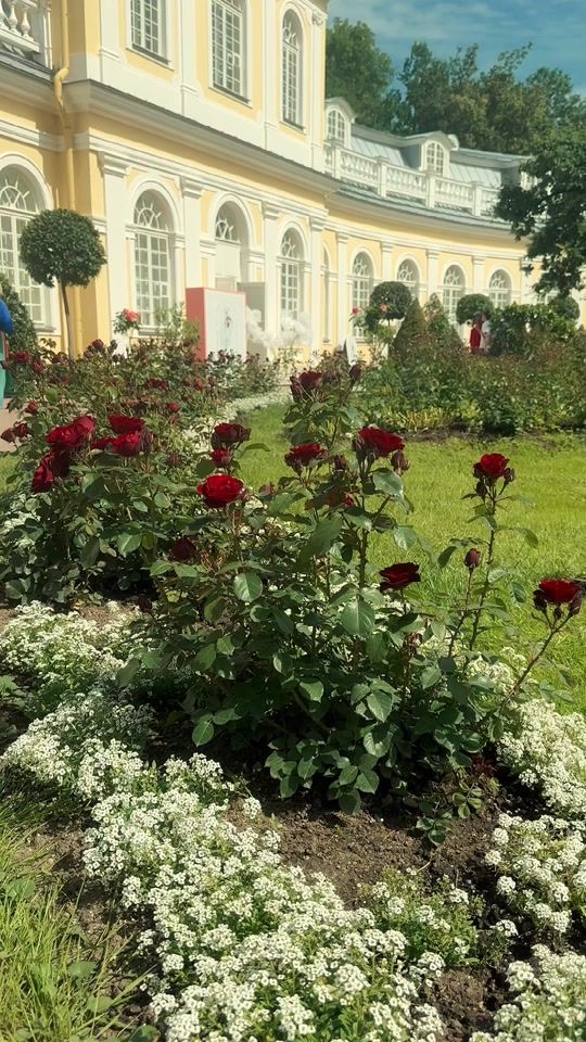 TikTok video thumbnail by kseniaramon