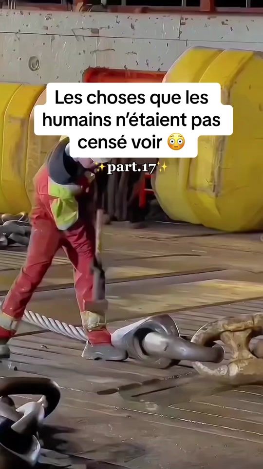 TikTok video thumbnail by anticum