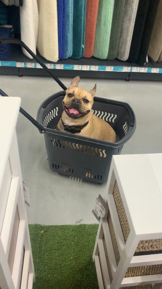 TikTok video thumbnail by hervedela