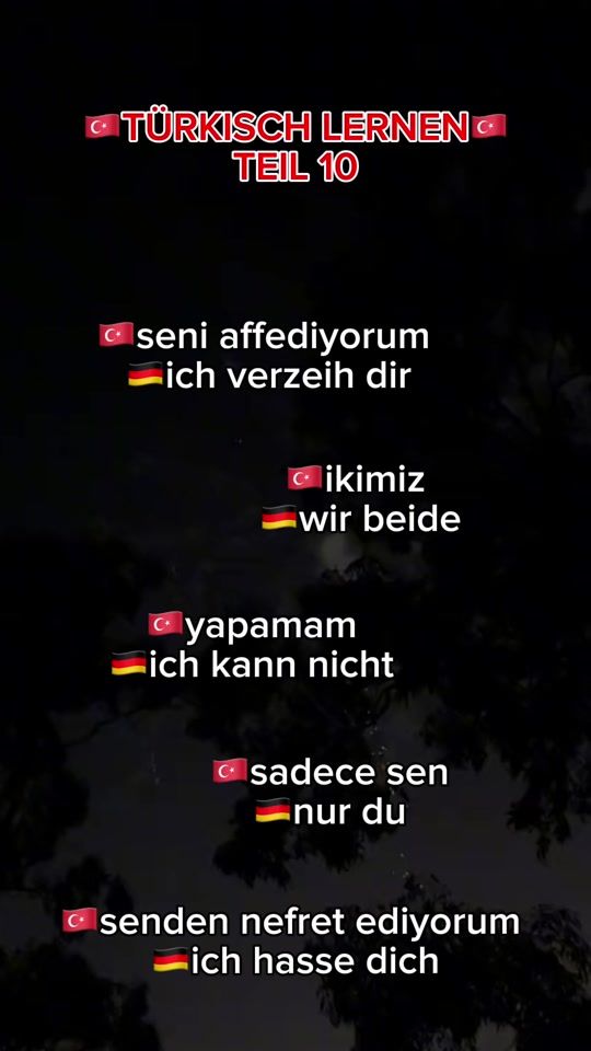 TikTok video thumbnail by lernturkischmitmir