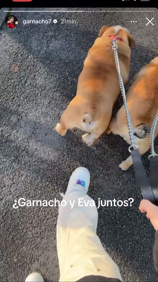 TikTok video thumbnail by cdcdtlp