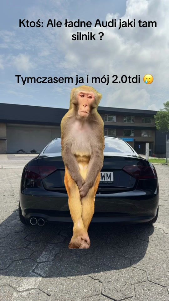 TikTok video thumbnail by koooteeek