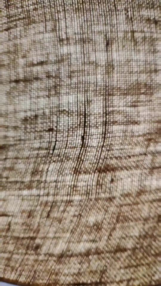 TikTok video thumbnail by sigalashome