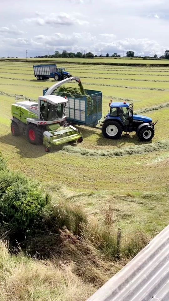 TikTok video thumbnail by scottmccracken55