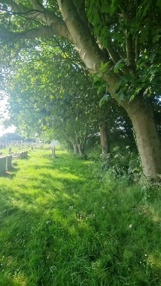 TikTok video thumbnail by kernowsunsets