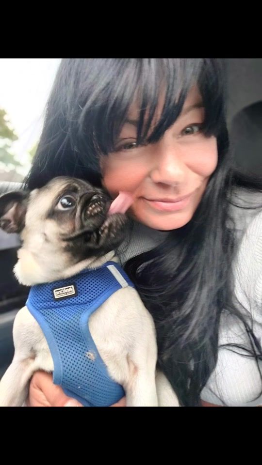 TikTok video thumbnail by guido1309