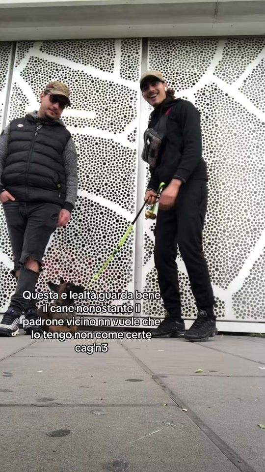 TikTok video thumbnail by zikol7abs