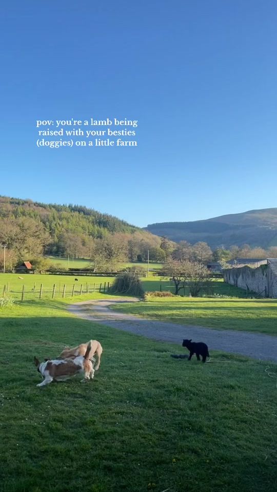 TikTok video thumbnail by hanwadley