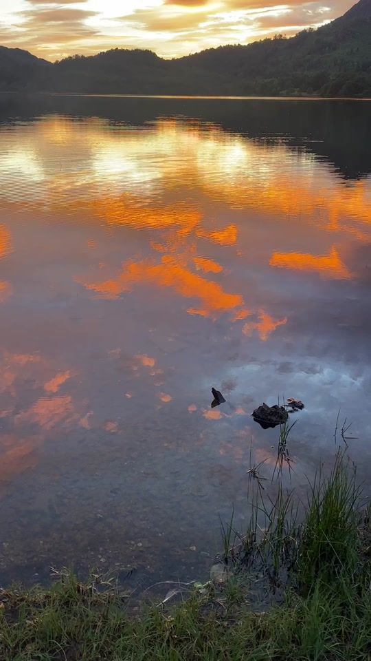 TikTok video thumbnail by melissapirret134