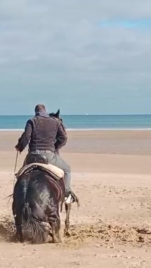 TikTok video thumbnail by jorgitopalmeiro2