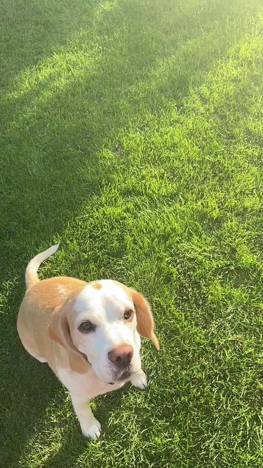 TikTok video thumbnail by rekucibajnok