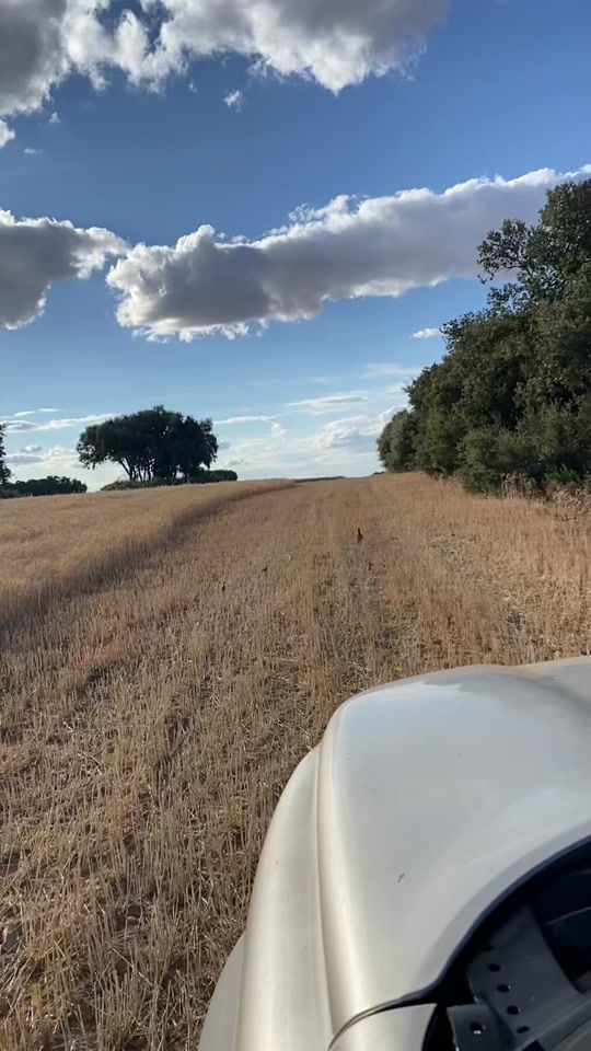 TikTok video thumbnail by andresito.a.m