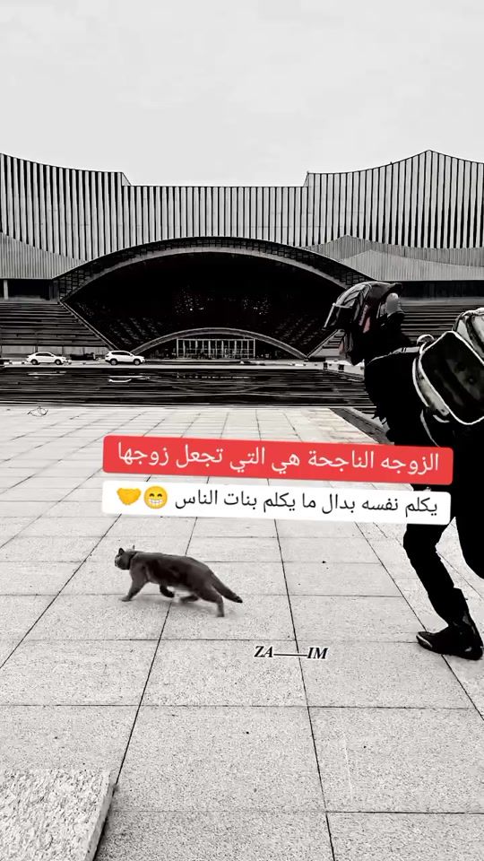 TikTok video thumbnail by user1419754553340