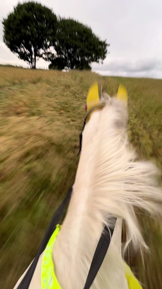 TikTok video thumbnail by lillyismint0