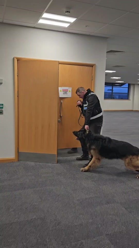 TikTok video thumbnail by baddog2gooddog