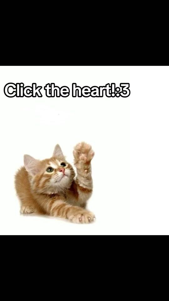 TikTok video thumbnail by anne._.yipee