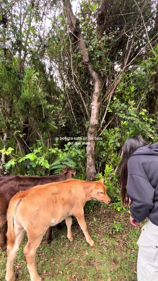 TikTok video thumbnail by nereatm