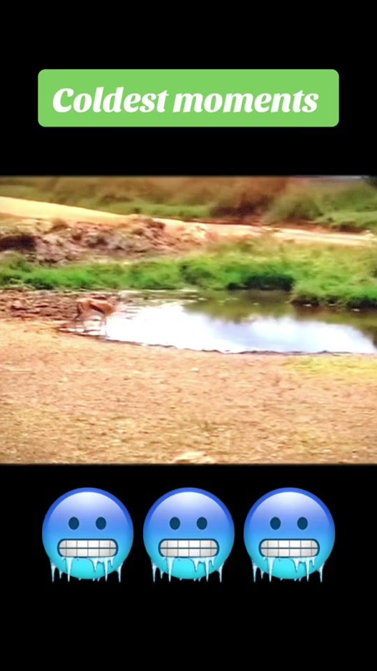 TikTok video thumbnail by coldest_moments82