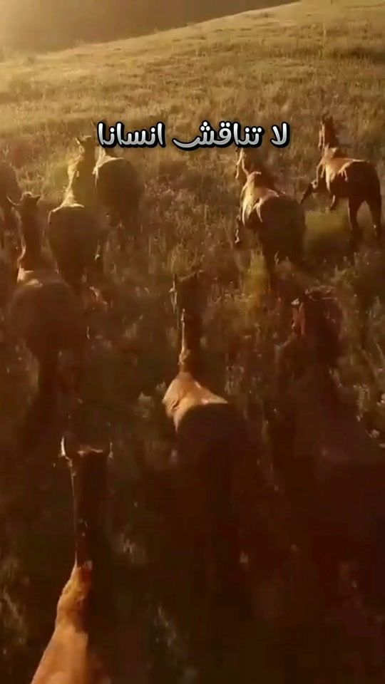 TikTok video thumbnail by aissam_k