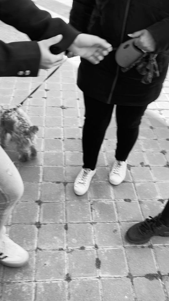 TikTok video thumbnail by rociioo22.__