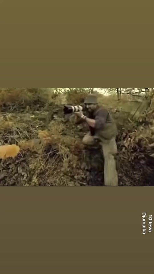 TikTok video thumbnail by krava_strela