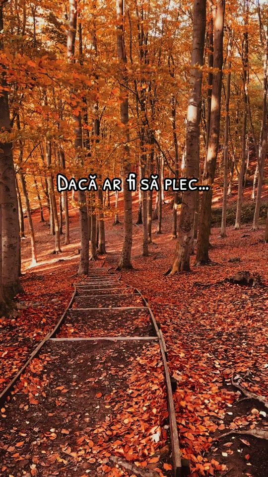 TikTok video thumbnail by ioanagc