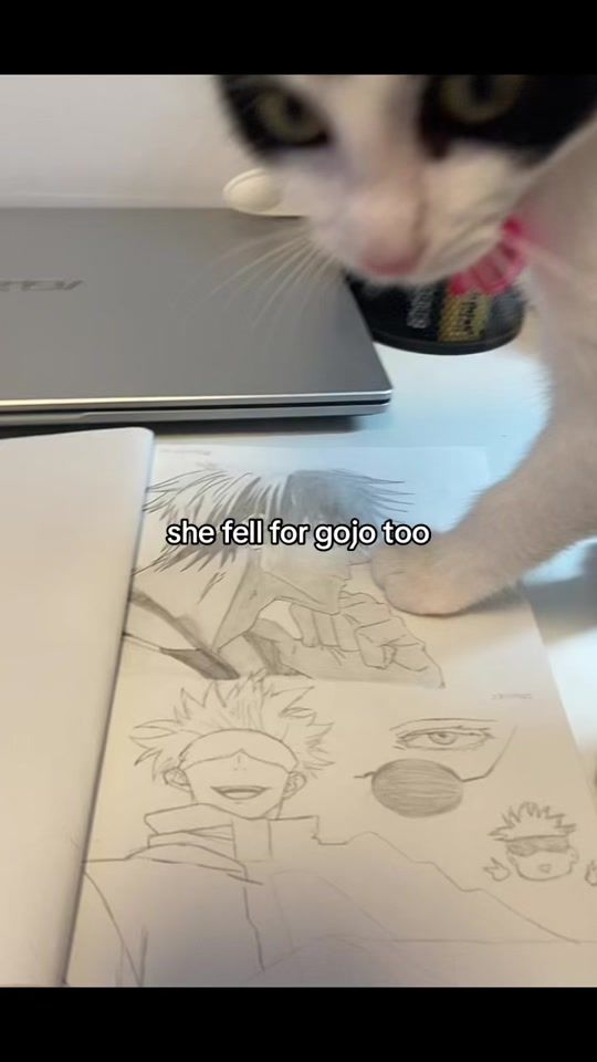 TikTok video thumbnail by remisitess