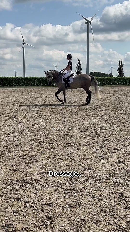 TikTok video thumbnail by showjumping_kimbouwman