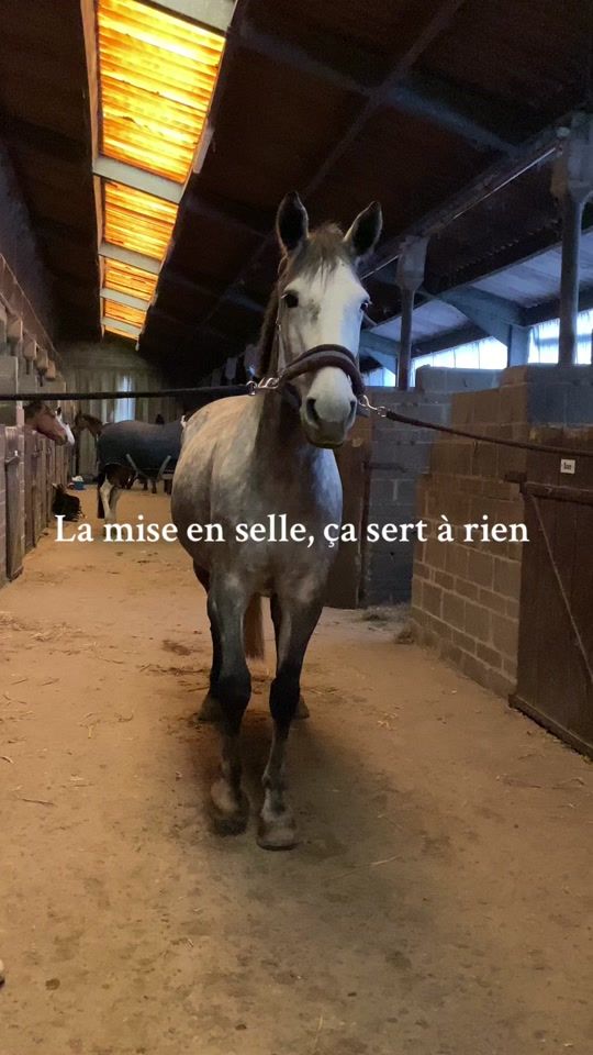 TikTok video thumbnail by clara.mrl15