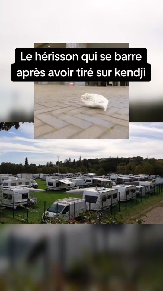 TikTok video thumbnail by titouan.68
