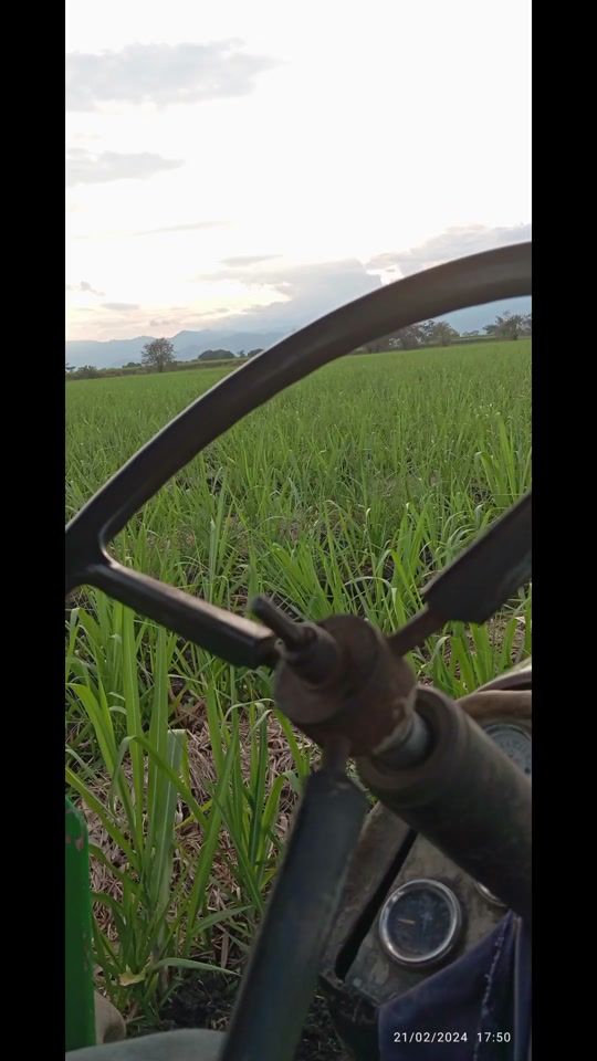 TikTok video thumbnail by juan.m.bejarano