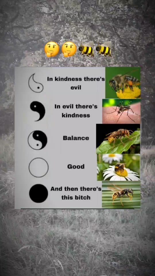 TikTok video thumbnail by antiwasp