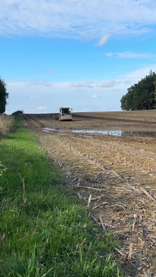 TikTok video thumbnail by patrikfruhauf