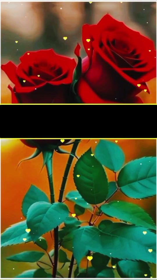 TikTok video thumbnail by mueen_writes