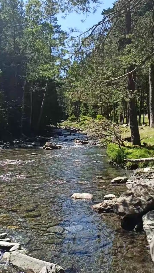 TikTok video thumbnail by benejum