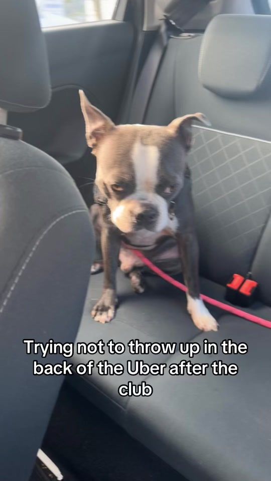 TikTok video thumbnail by nathanjohnn04