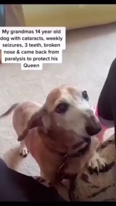 TikTok video thumbnail by lildm_
