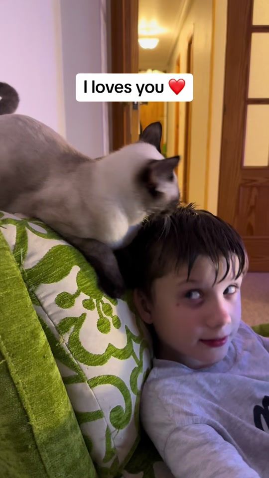 TikTok video thumbnail by lindatewnion