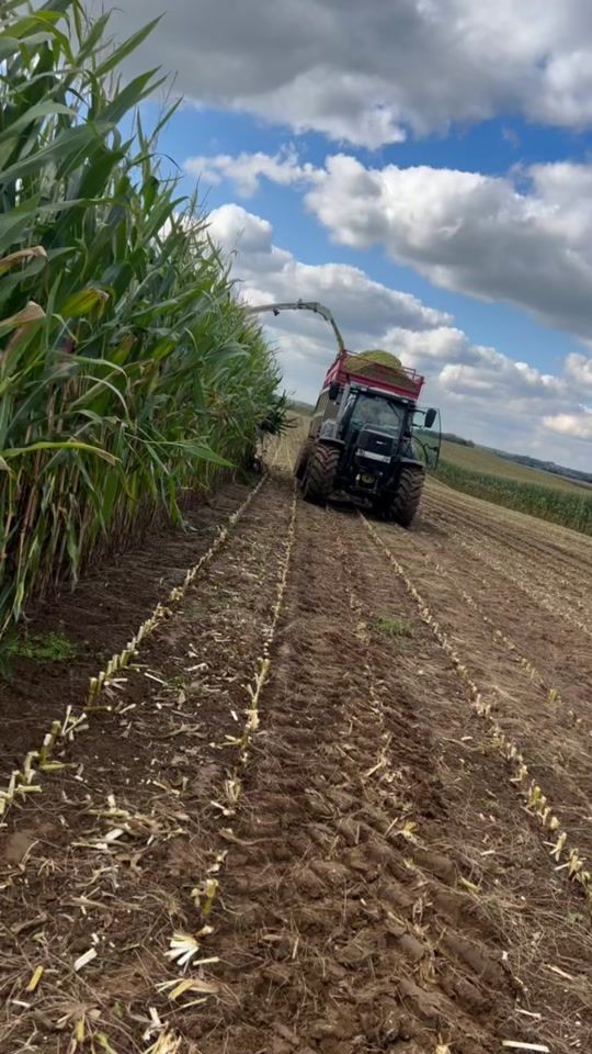 TikTok video thumbnail by dorianewillame