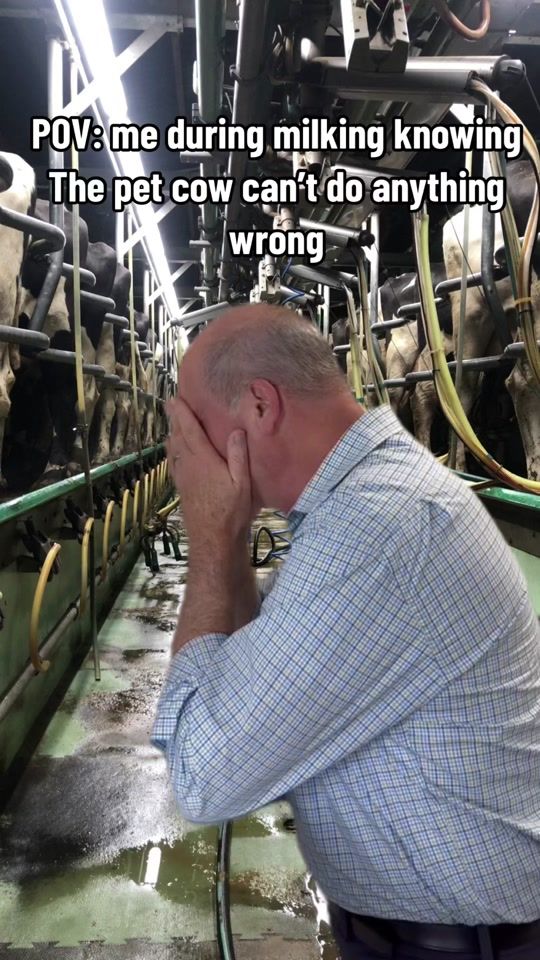 TikTok video thumbnail by siobhan_farms