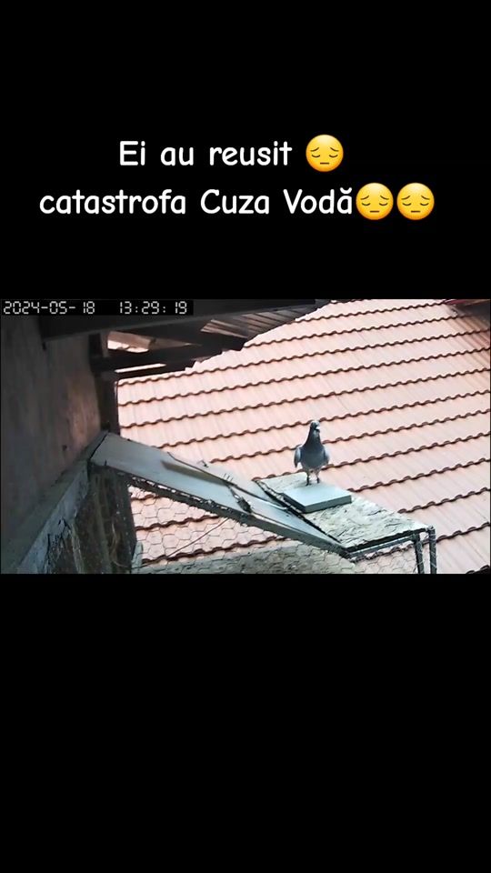 TikTok video thumbnail by stefstefan28