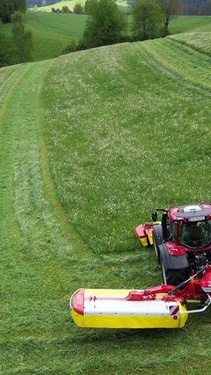 TikTok video thumbnail by griabamer