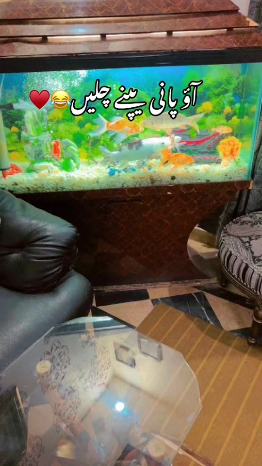 TikTok video thumbnail by crazy_cone2