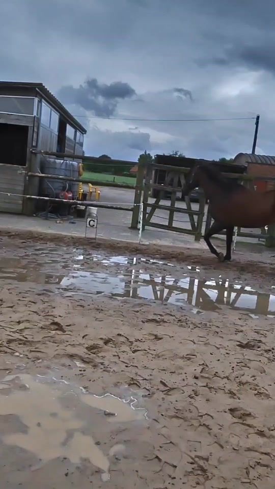 TikTok video thumbnail by jitse.in.leven