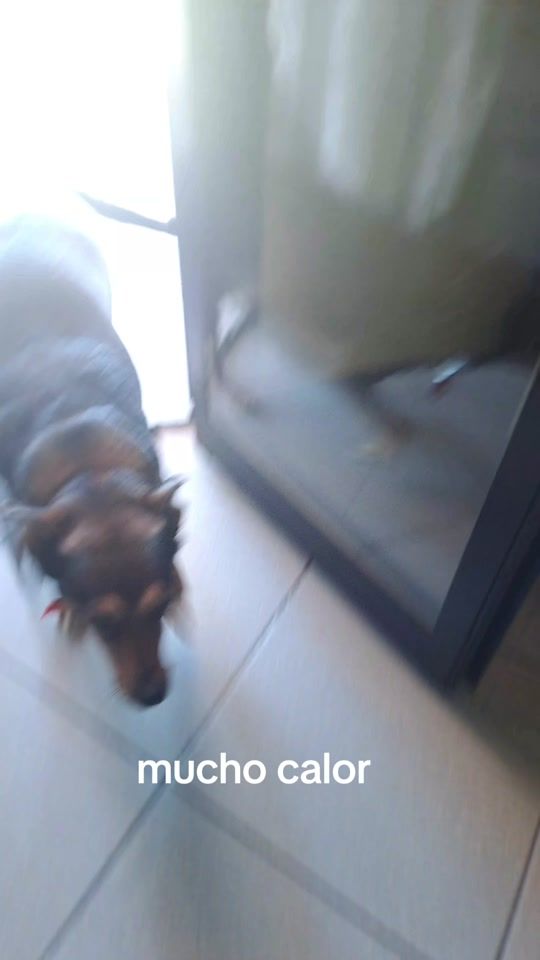 TikTok video thumbnail by masdelycarmenate