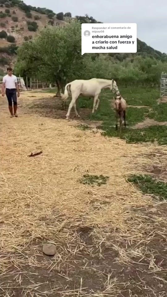 TikTok video thumbnail by juandedios_546