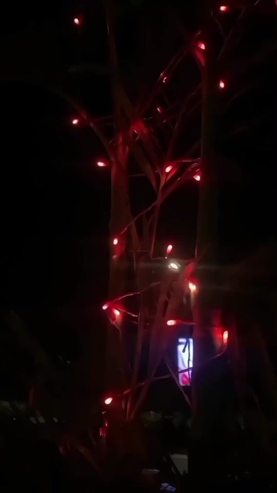 TikTok video thumbnail by daniaestic